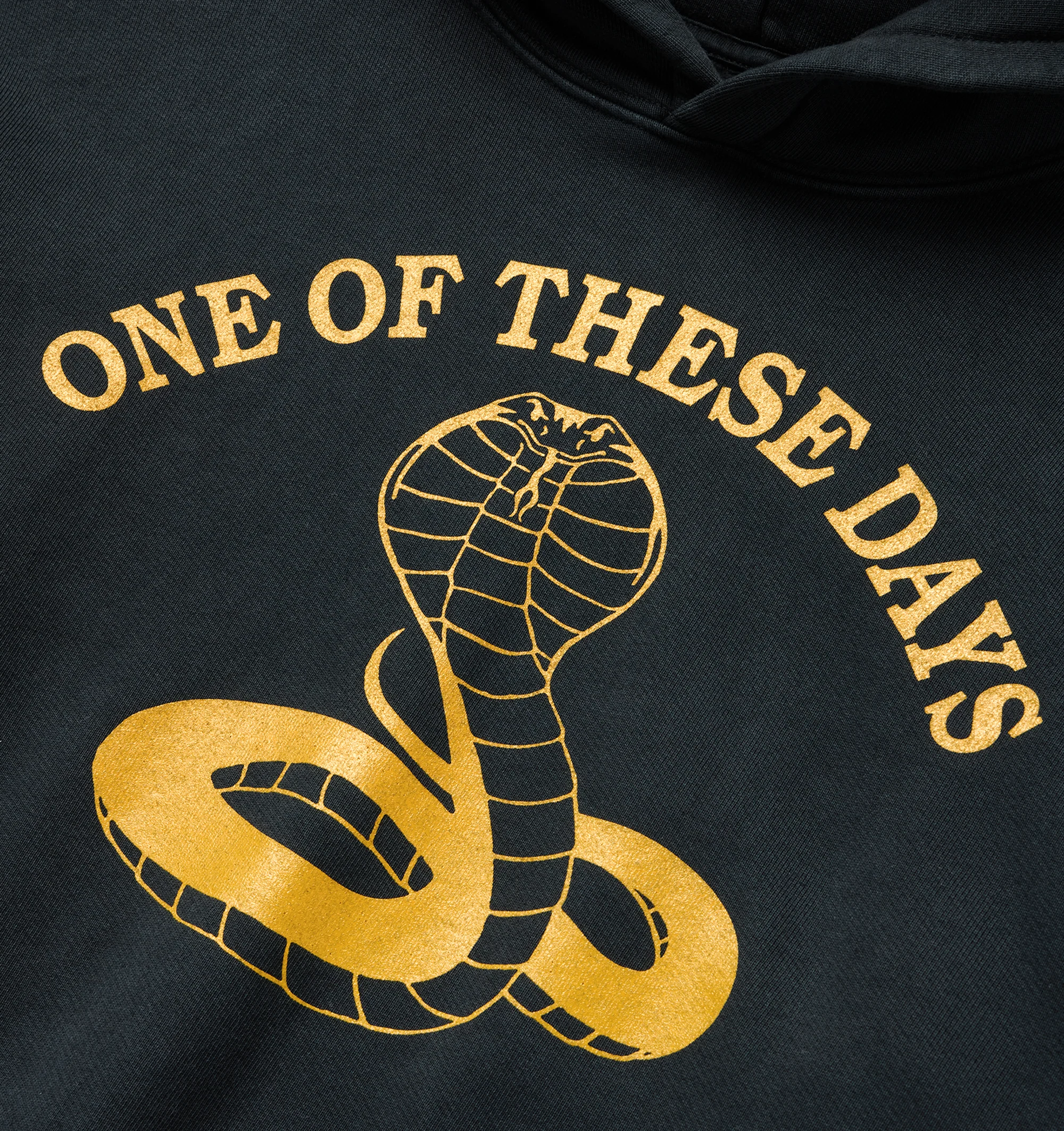 COBRA PULLOVER HOODIE (MENS) - Image 2