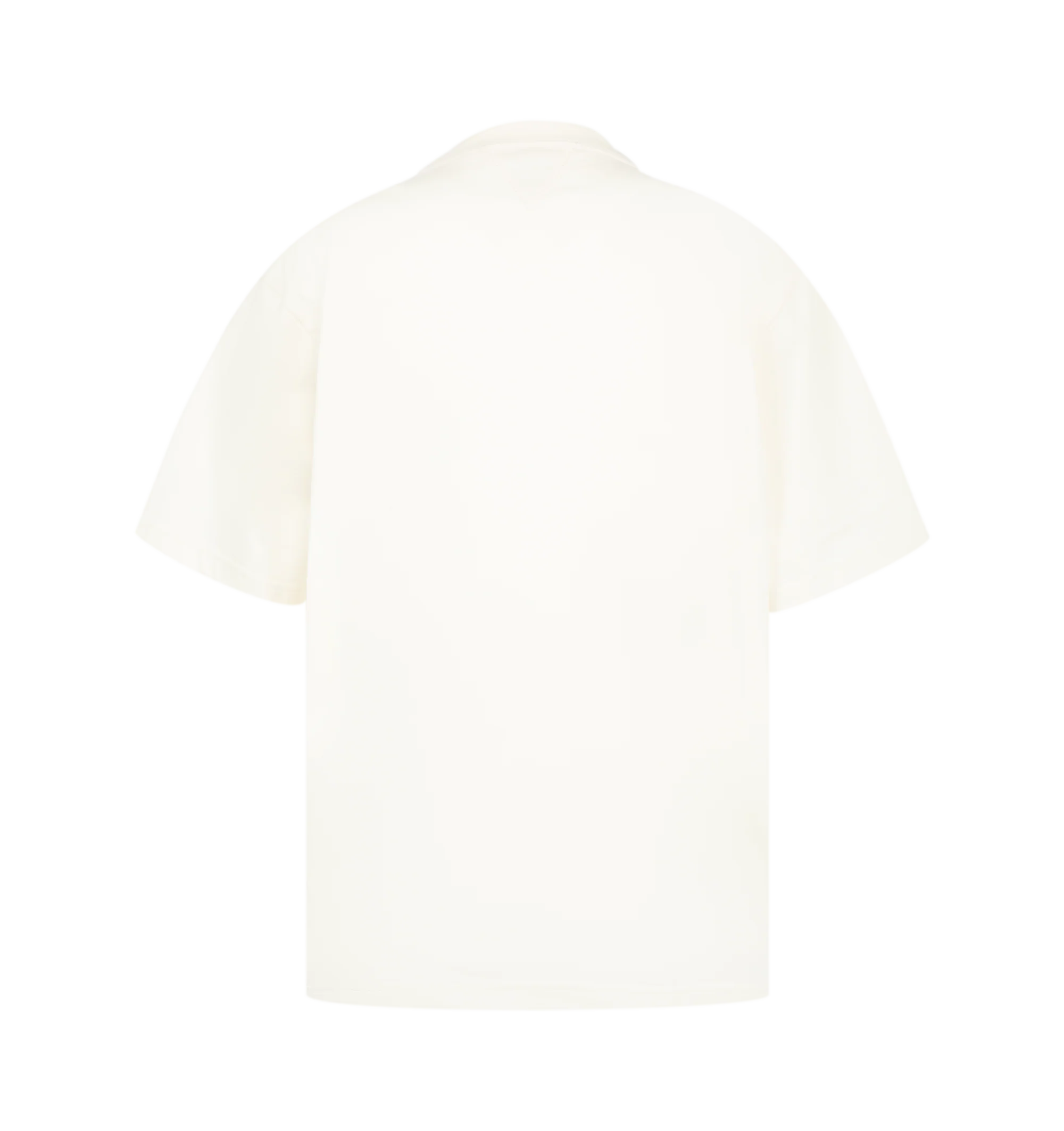 COTTON T-SHIRT JERSEY (MENS) - Image 2